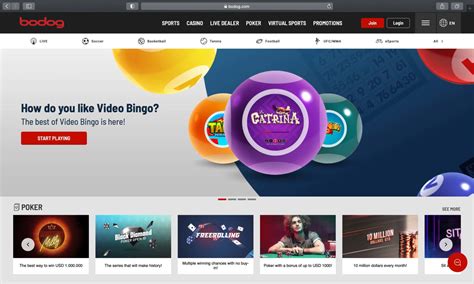 bodog site.